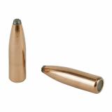 Partition Bullets .308 Diameter 180 Grain Protected Point