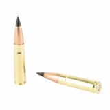 Tactical Rifle, 300 Blackout, 110 Grain, Barnes Tac-TX Ballistic Tip, 20 Round Box T300BLK110TTX-20