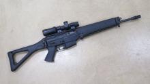 Sig Sauer 556