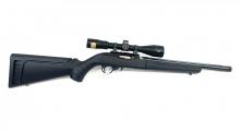 Ruger 10/22