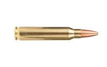 Armscor AC223-4N 812285021911