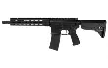 Primary Weapons Systems 22-C111RA1B-NFA 811154031075