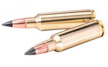 Winchester X3006DSLF 020892224247