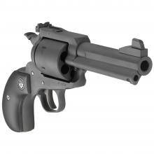 Ruger 00875 736676008759