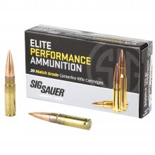 Sig Sauer E300A1-20 798681514489
